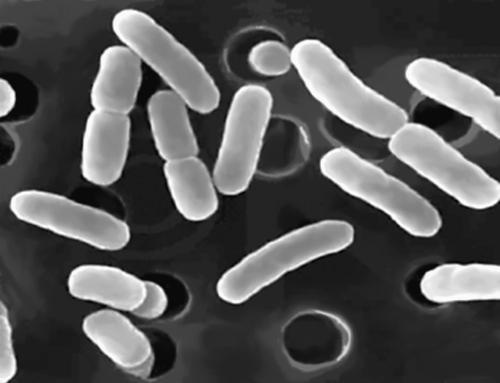 Иллюстрация к книге — 100 великих тайн Земли [_29.jpg]