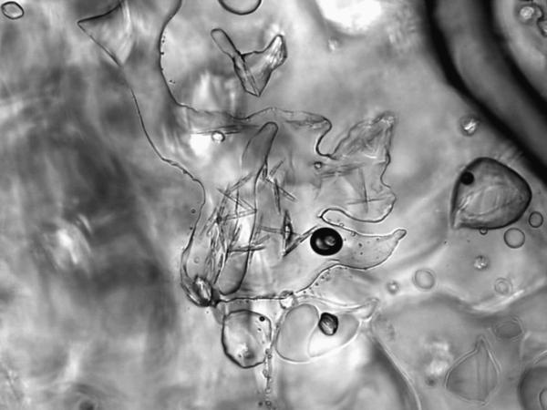 Иллюстрация к книге — 100 великих тайн Земли [_39.jpg]