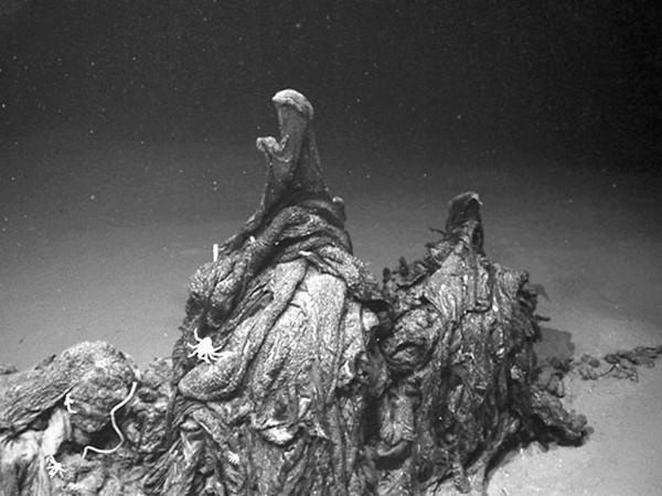 Иллюстрация к книге — 100 великих тайн Земли [_45.jpg]