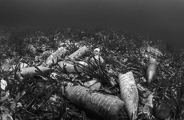 Иллюстрация к книге — 100 великих тайн Земли [_48.jpg]