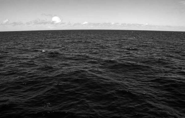 Иллюстрация к книге — 100 великих тайн Земли [_49.jpg]