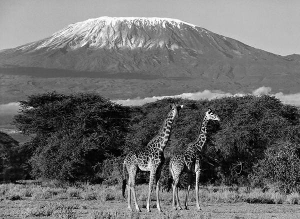 Иллюстрация к книге — 100 великих тайн Земли [_80.jpg]