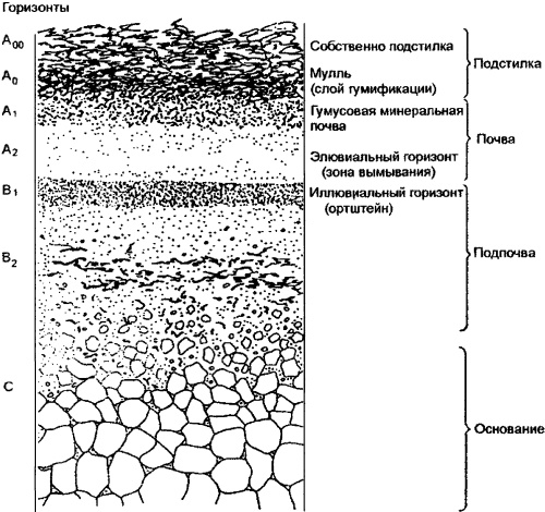 Иллюстрация к книге — 100 великих тайн Земли [_86.jpg]