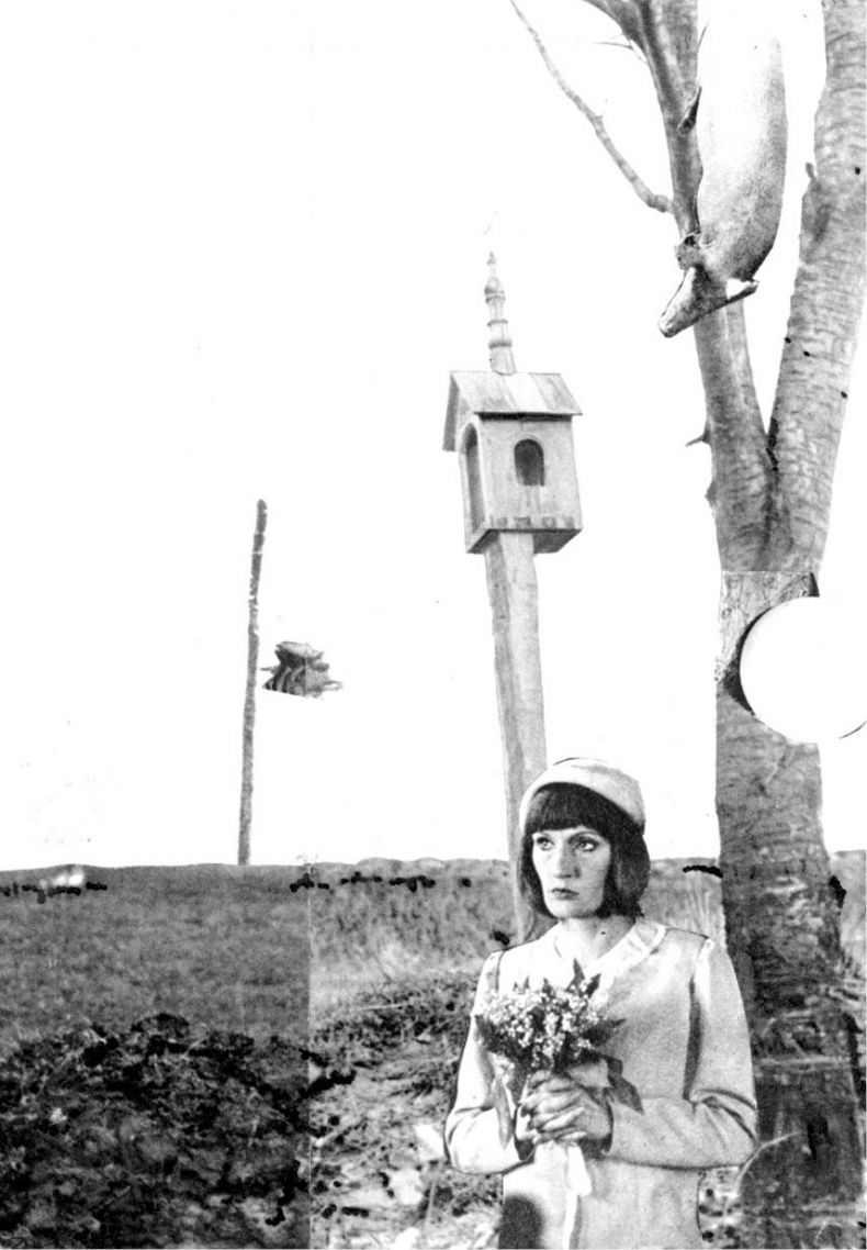 Иллюстрация к книге — Дом Близнецов [i000003620000.jpg]