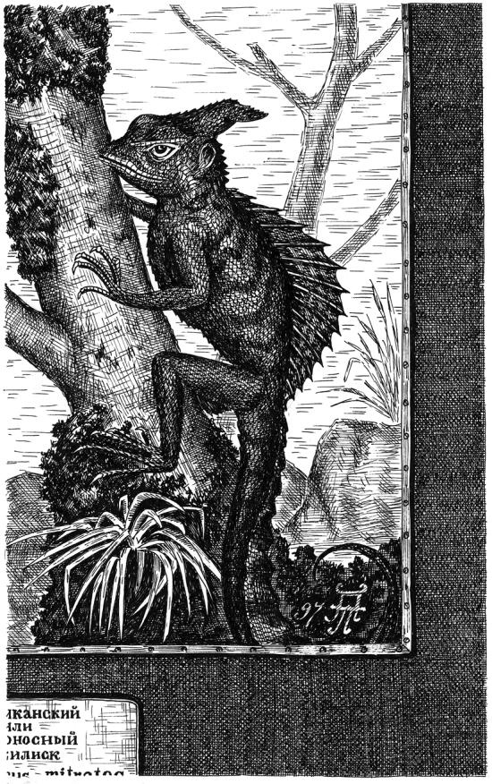 Иллюстрация к книге — Тайный код Кёнигсберга [_087.jpg]