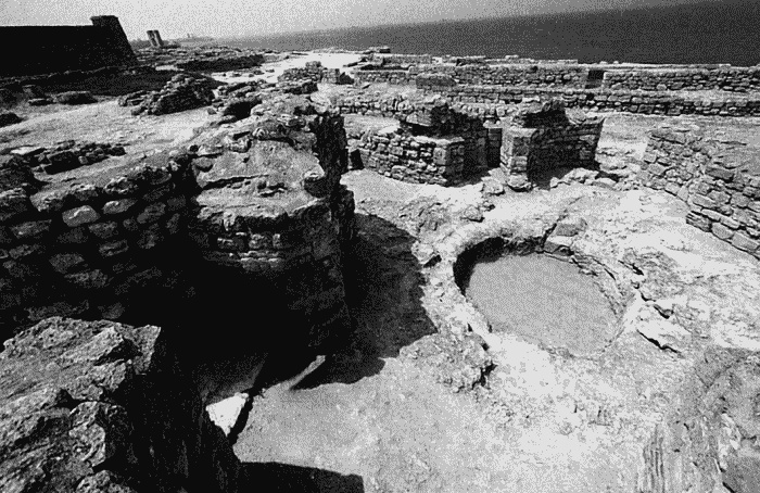 Иллюстрация к книге — Владимир Святой. Создатель русской цивилизации [_344_2.jpg]