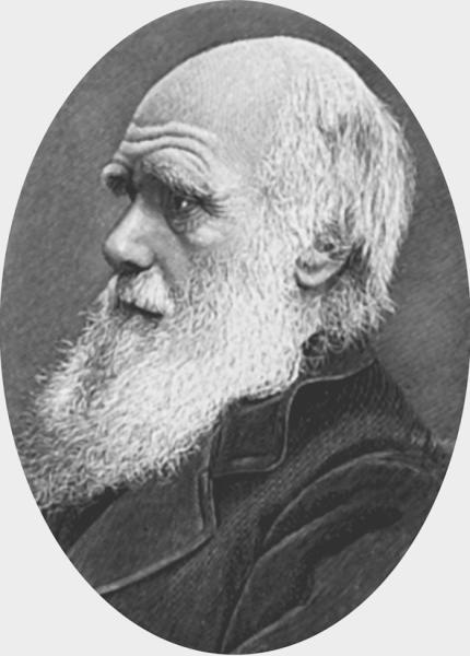 Иллюстрация к книге — Тайные общества русских революционеров [_105.jpg]