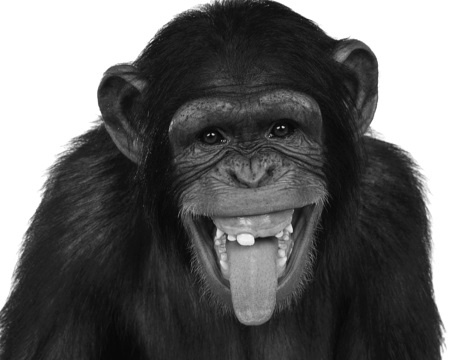 Иллюстрация к книге — Тупики психоанализа. Роковая ошибка Фрейда [i_016.jpg]