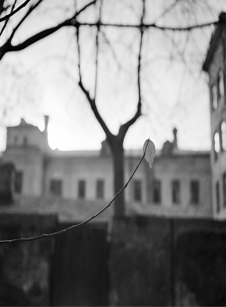 Иллюстрация к книге — Последняя любовь Гагарина [i000000400001.jpg]