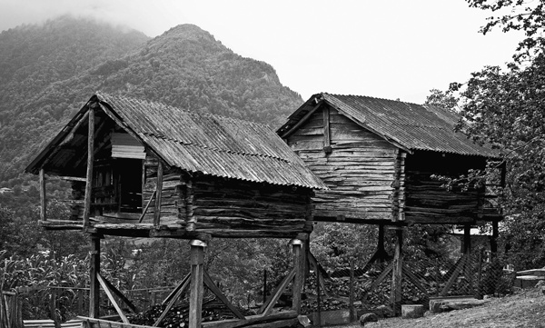 Иллюстрация к книге — Крайности Грузии. В поисках сокровищ Страны волков [i_011.jpg]