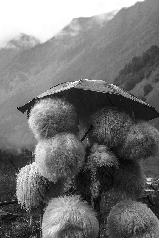 Иллюстрация к книге — Крайности Грузии. В поисках сокровищ Страны волков [i_031.jpg]