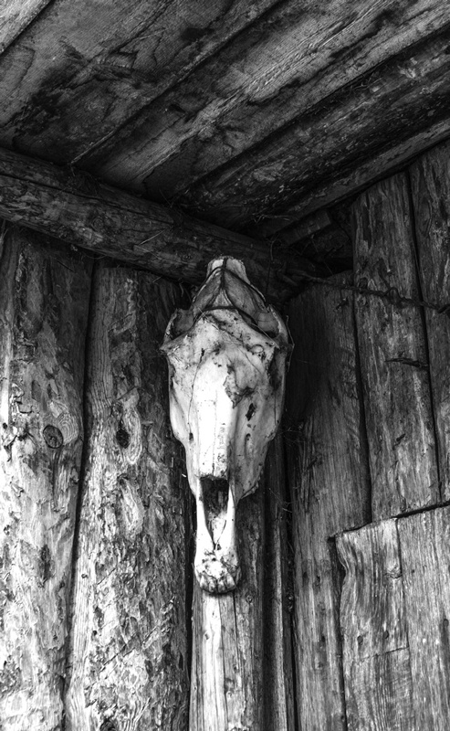 Иллюстрация к книге — Крайности Грузии. В поисках сокровищ Страны волков [i_035.jpg]