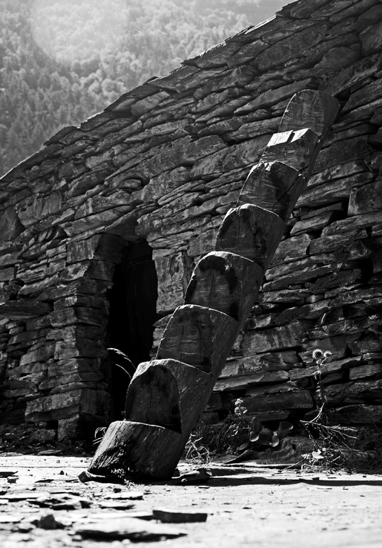 Иллюстрация к книге — Крайности Грузии. В поисках сокровищ Страны волков [i_039.jpg]