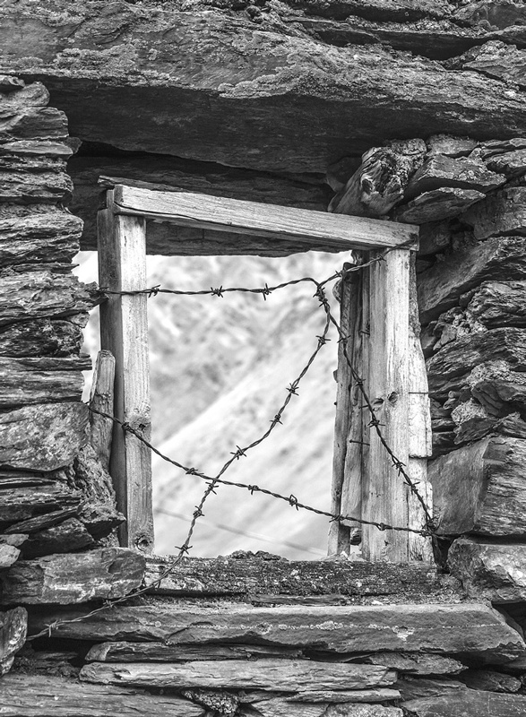 Иллюстрация к книге — Крайности Грузии. В поисках сокровищ Страны волков [i_042.jpg]