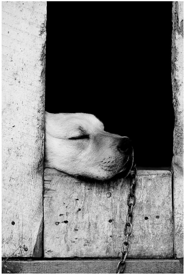 Иллюстрация к книге — Крайности Грузии. В поисках сокровищ Страны волков [i_065.jpg]