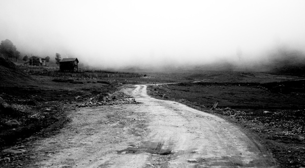 Иллюстрация к книге — Крайности Грузии. В поисках сокровищ Страны волков [i_066.jpg]