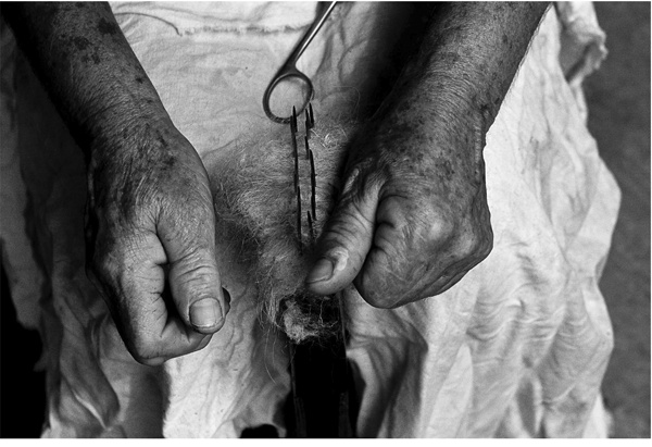 Иллюстрация к книге — Крайности Грузии. В поисках сокровищ Страны волков [i_073.jpg]