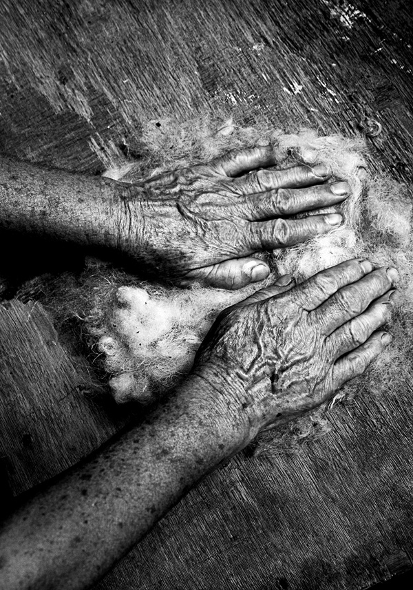 Иллюстрация к книге — Крайности Грузии. В поисках сокровищ Страны волков [i_075.jpg]