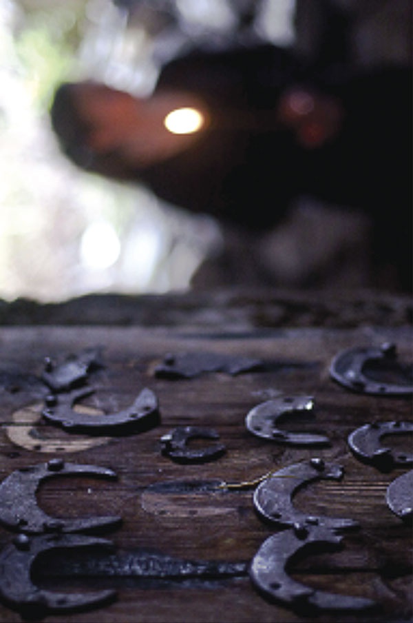 Иллюстрация к книге — Крайности Грузии. В поисках сокровищ Страны волков [i_092.jpg]