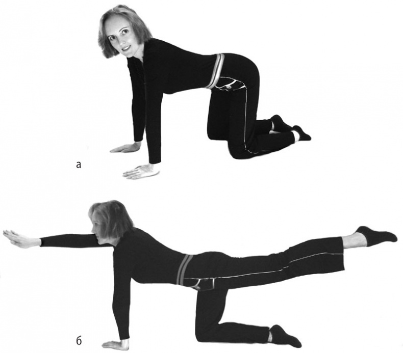 Иллюстрация к книге — Включите внутренний свет! Большая книга женского здоровья и счастья [i_008.jpg]