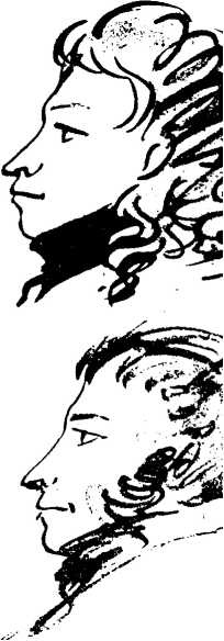 Иллюстрация к книге — Генералиссимус Суворов. "Мы русские - враг пред нами дрожит!" [i_173.jpg]