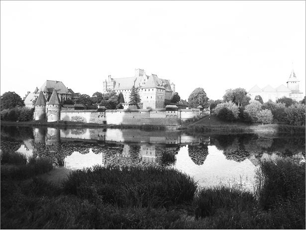 Иллюстрация к книге — Грюнвальд. Разгром Тевтонского ордена [_004_fmt.jpg]