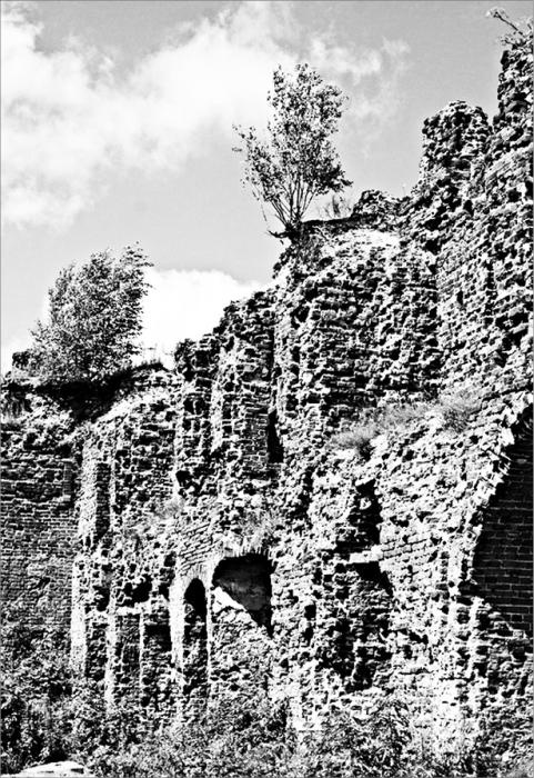 Иллюстрация к книге — Грюнвальд. Разгром Тевтонского ордена [_005_fmt.jpg]