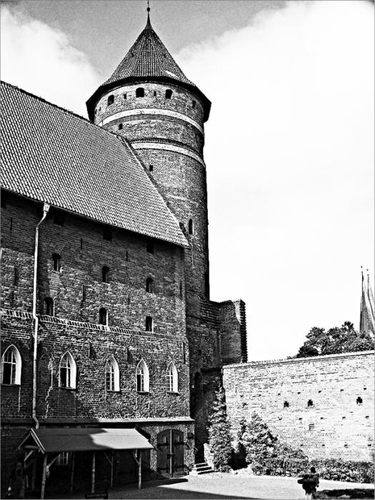 Иллюстрация к книге — Грюнвальд. Разгром Тевтонского ордена [_006_fmt.jpg]