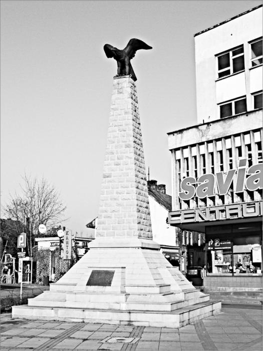 Иллюстрация к книге — Грюнвальд. Разгром Тевтонского ордена [_021_fmt.jpg]