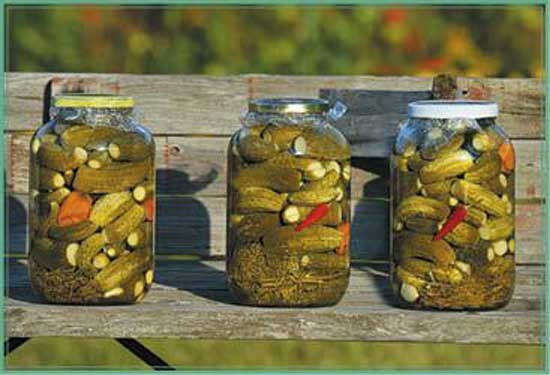 Иллюстрация к книге — Консервируем салаты, лечо, икру, соте, аджику [i_016.jpg]