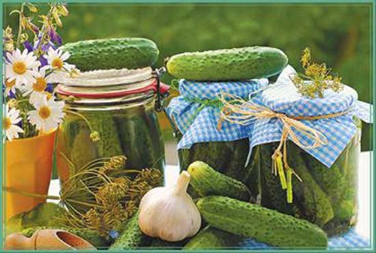 Иллюстрация к книге — Консервируем салаты, лечо, икру, соте, аджику [i_017.jpg]