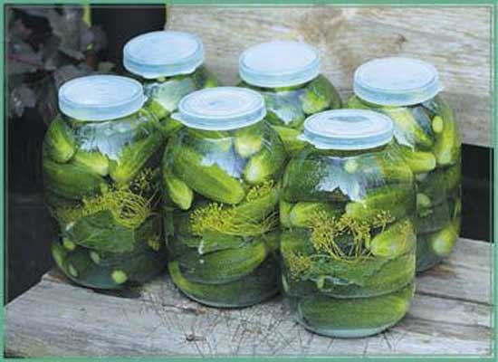 Иллюстрация к книге — Консервируем салаты, лечо, икру, соте, аджику [i_020.jpg]