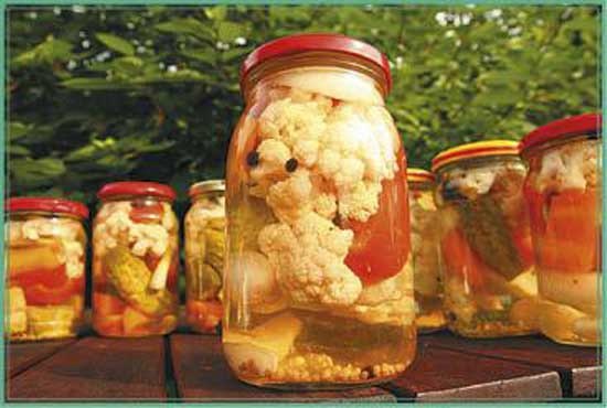 Иллюстрация к книге — Консервируем салаты, лечо, икру, соте, аджику [i_038.jpg]