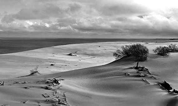 Иллюстрация к книге — 100 великих сокровищ России [i_094.jpg]