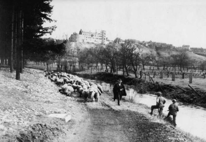 Иллюстрация к книге — Тайны черных замков СС [i_005.jpg]