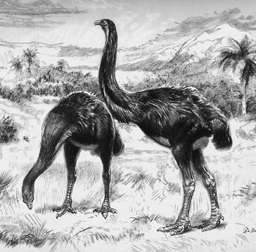 Иллюстрация к книге — 500 великих путешествий [i_340.jpg]