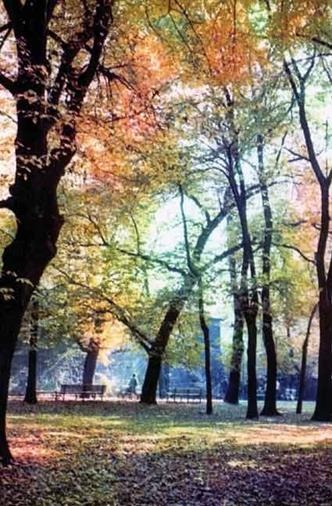 Иллюстрация к книге — Старый Краков [pic_143.jpg]