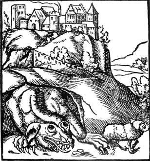 Иллюстрация к книге — Старый Краков [pic_3.jpg]