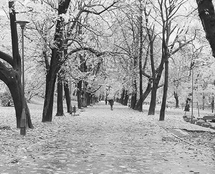 Иллюстрация к книге — Старый Краков [pic_52.jpg]