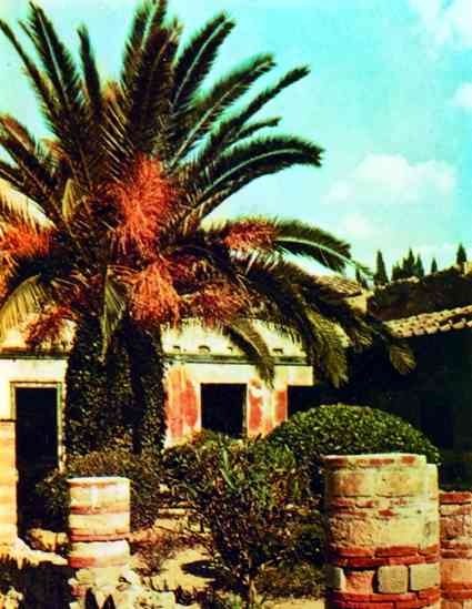 Иллюстрация к книге — Помпеи и Геркуланум [_012.jpg]