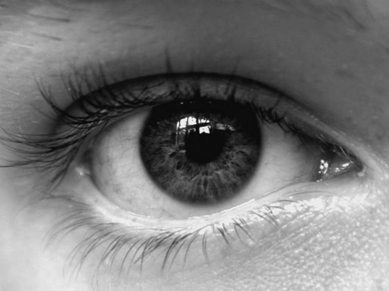 Иллюстрация к книге — 100 великих тайн человека [i_033.jpg]