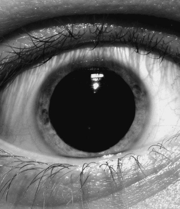 Иллюстрация к книге — 100 великих тайн человека [i_037.jpg]