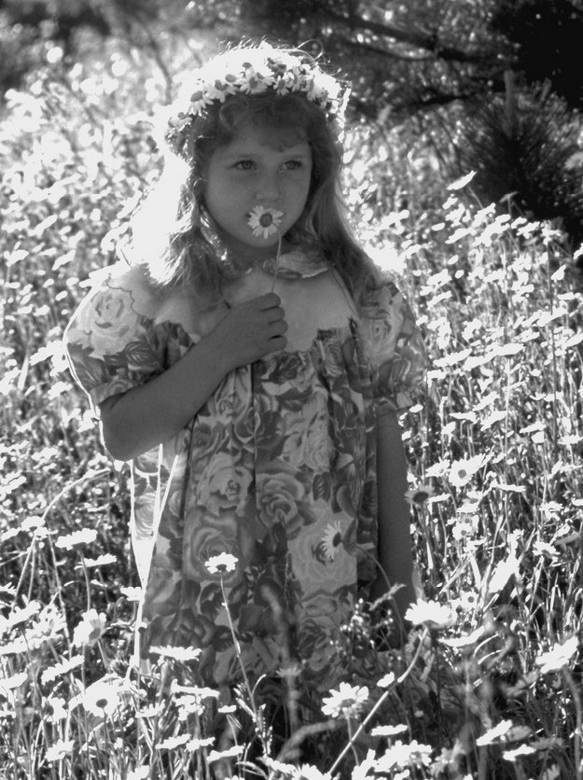 Иллюстрация к книге — 100 великих тайн человека [i_049.jpg]