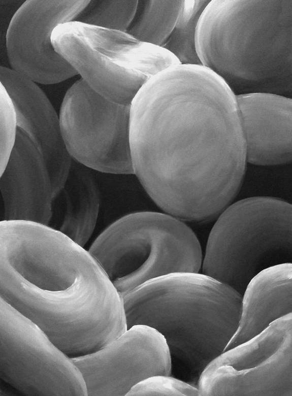 Иллюстрация к книге — 100 великих тайн человека [i_071.jpg]