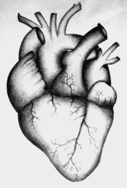 Иллюстрация к книге — 100 великих тайн человека [i_073.jpg]