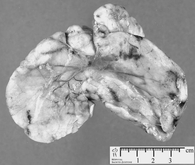 Иллюстрация к книге — 100 великих тайн человека [i_077.jpg]