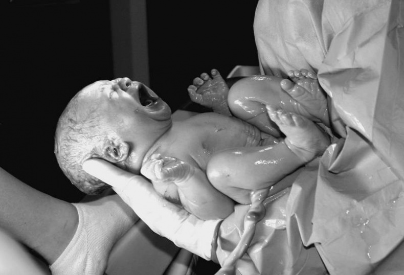 Иллюстрация к книге — 100 великих тайн человека [i_084.jpg]