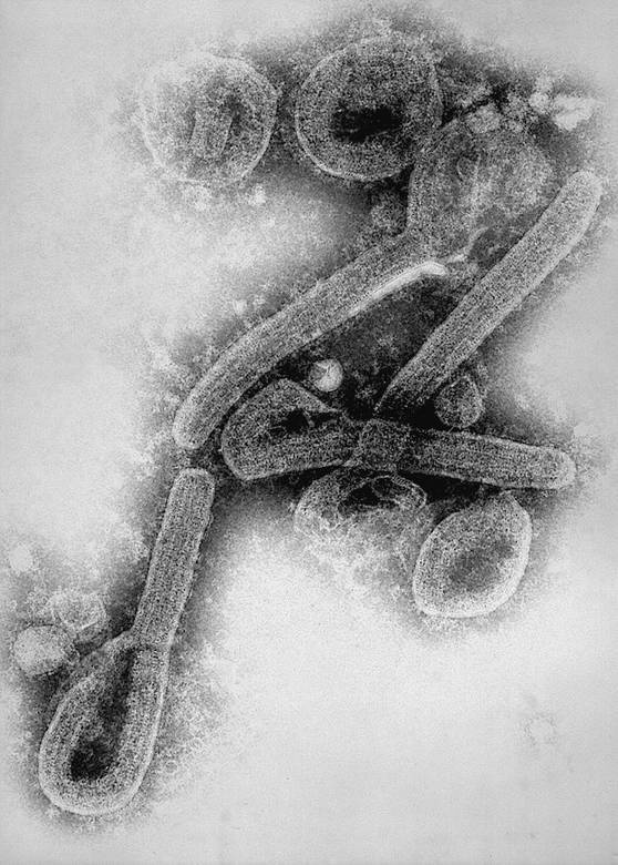 Иллюстрация к книге — 100 великих тайн человека [i_089.jpg]