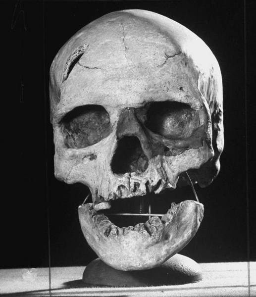 Иллюстрация к книге — 100 великих тайн человека [i_097.jpg]