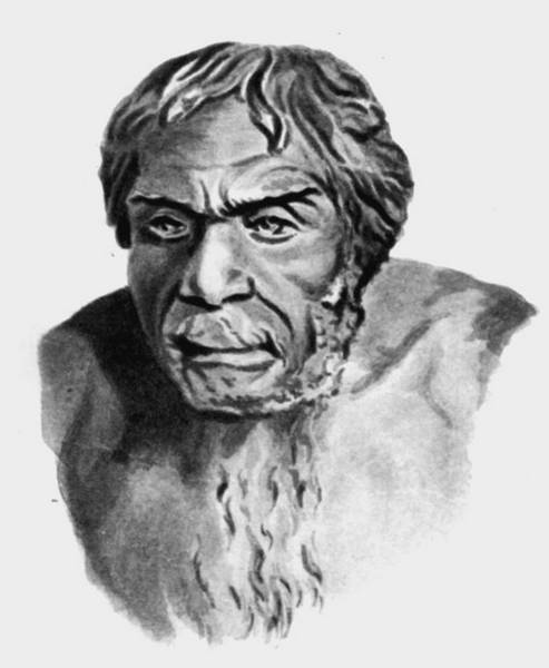 Иллюстрация к книге — 100 великих тайн человека [i_099.jpg]